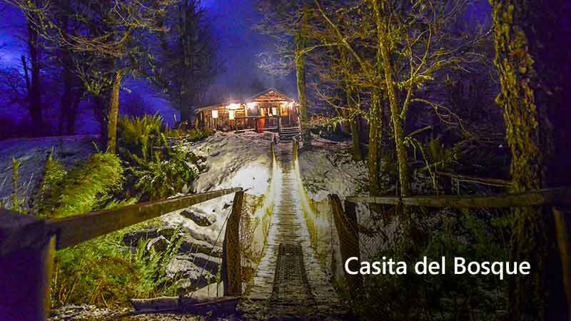 casita-del-bosque-800x450 Casita del bosque