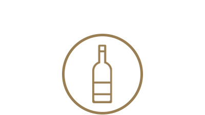 botella - icono